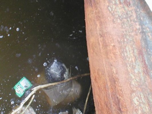 Un macaragiu a murit în Port: s-a dezechilibrat, a căzut în apă şi s-a înecat